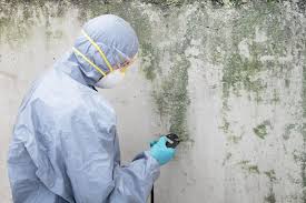 Bonanza, GA Mold Removal & Remediation Company